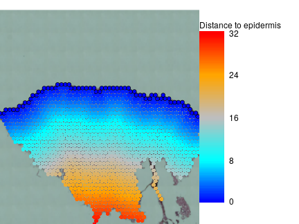 plot of chunk unnamed-chunk-7
