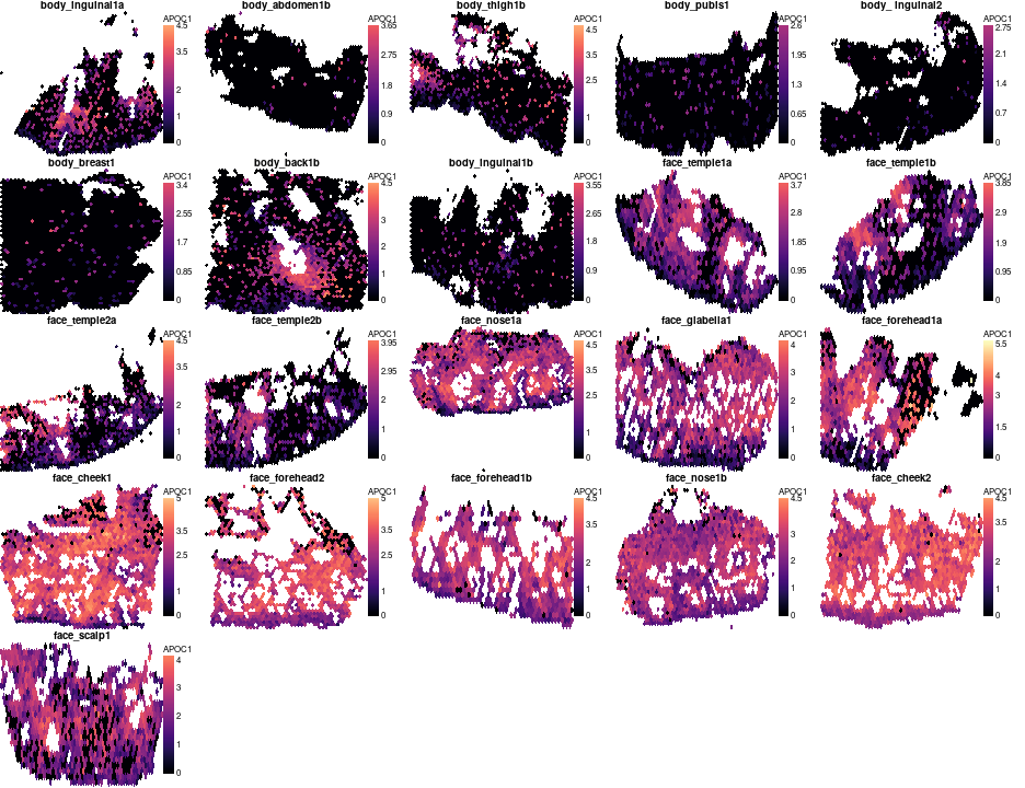 plot of chunk unnamed-chunk-25