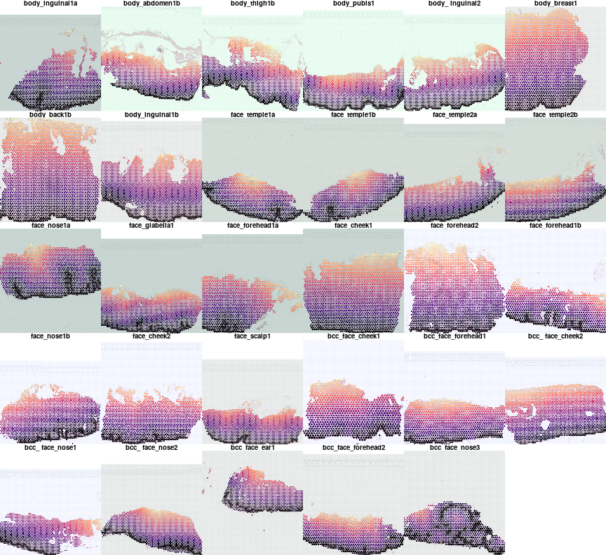 plot of chunk unnamed-chunk-8