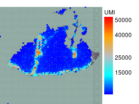 plot of chunk unnamed-chunk-3